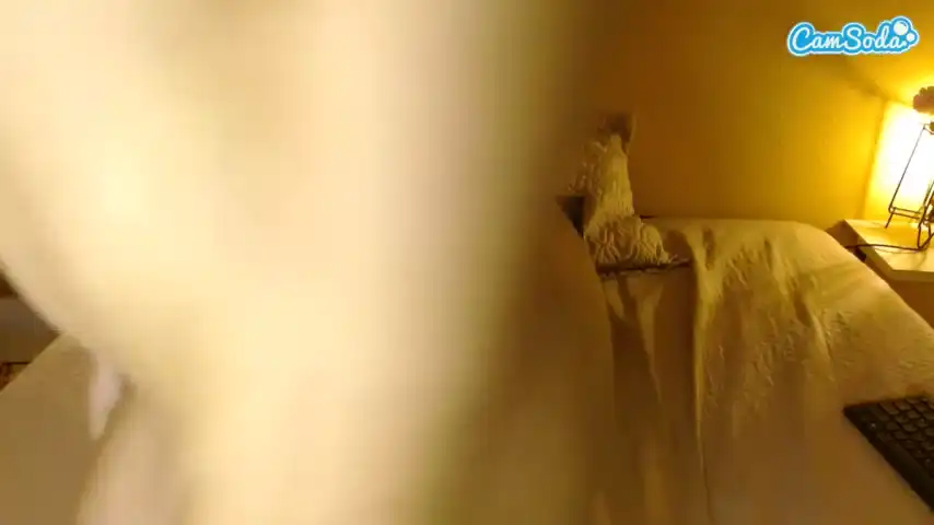 Lucy-brunette – Camsoda Live Show Record – 2025-08-07 03:41:02