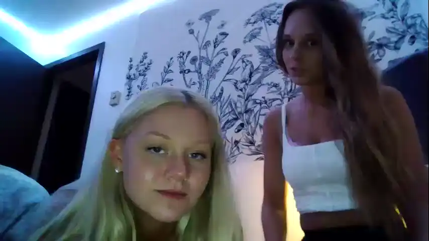 Prettypoliteladies – Chaturbate Live Show Record – 2025-06-11 04:41:07