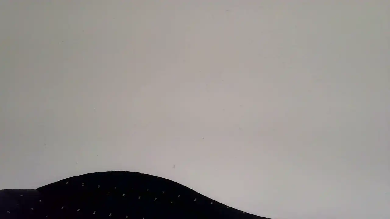 Podnieconaona19_ – Showup Live Show Record – 2026-04-11 03:25:55