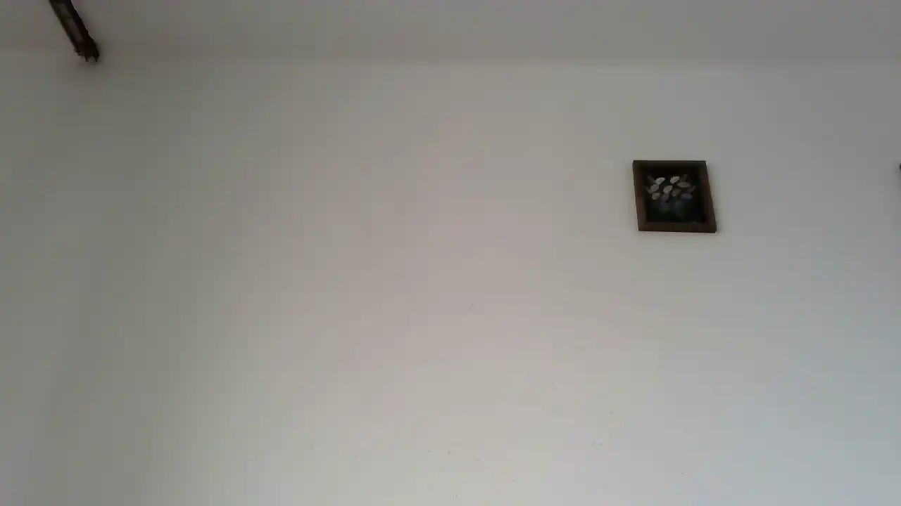 Podnieconaona19_ – Showup Live Show Record – 2025-04-30 17:44:59