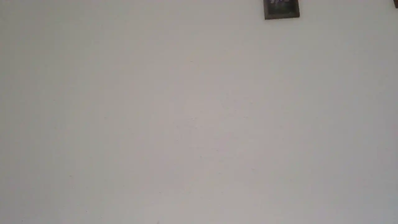 Podnieconaona19_ – Showup Live Show Record – 2026-06-22 13:46:31