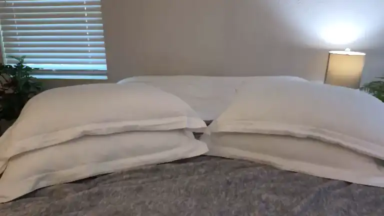 Allie – Streamate Live Show Record – 2026-01-01 14:11:28