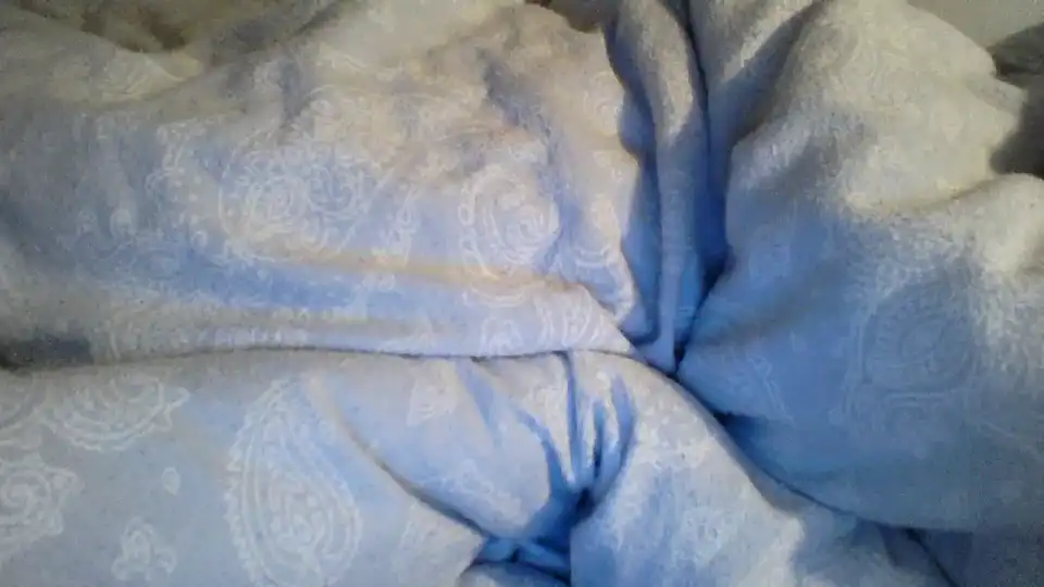 Gwiazda_ – Showup Live Show Record – 2025-01-16 18:39:23